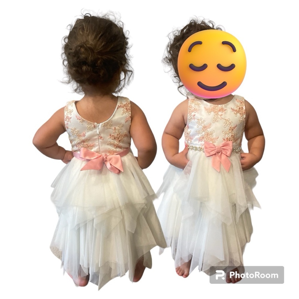 2T flower girl dress.